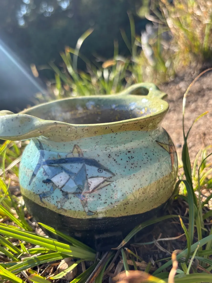 Pot “evolution”