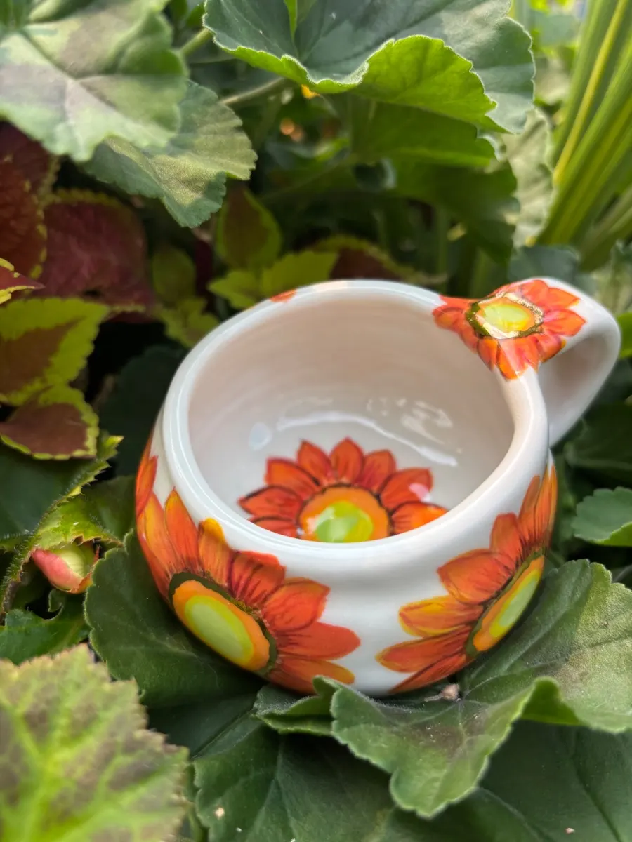 Fall flowers 